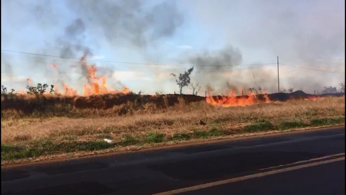 Bombeiros combatem diferente focos de incêndio no bairro Industrial em Uberlândia; veja vídeo | Triângulo Mineiro