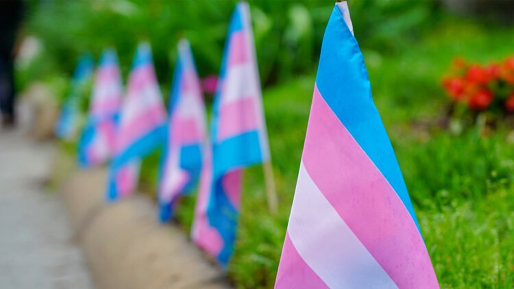 Justiça manda DF fornecer hormônio a adolescentes transgênero