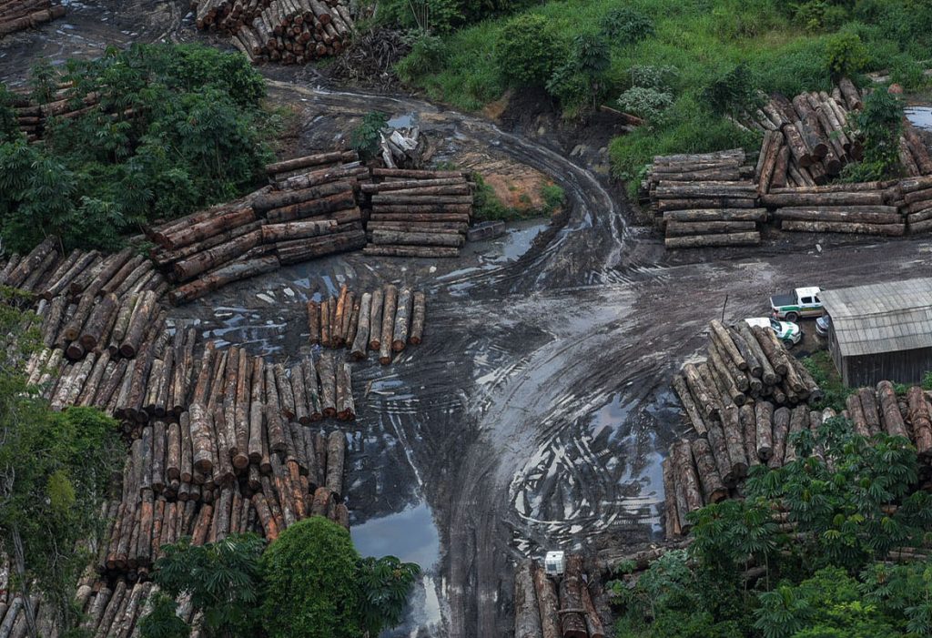 Alertas de desmatamento caem pela 1ª vez no direção Bolsonaro
