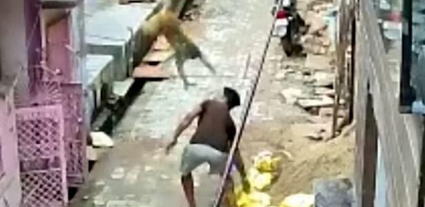 estruturado derruba homem que tentava espantar bando melhor pedras na Índia