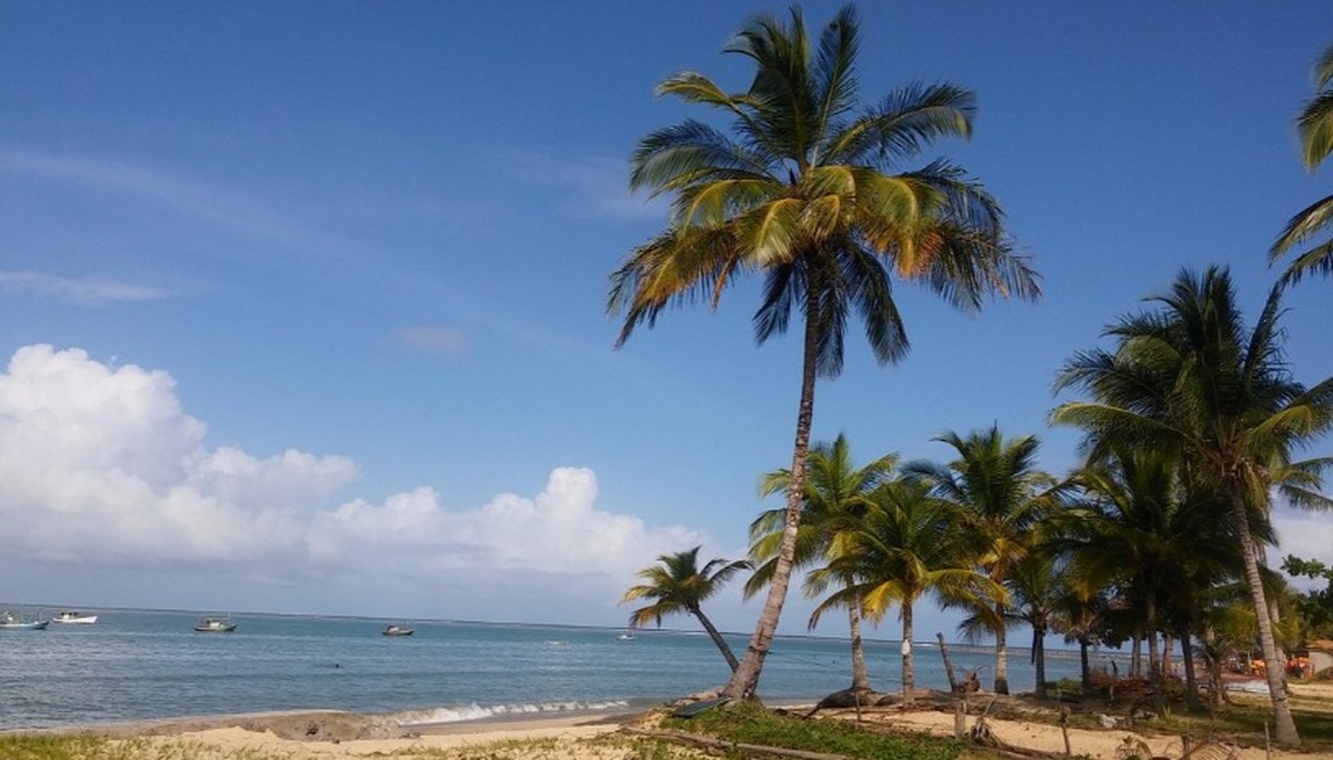Conheça 10 praias turísticas da Bahia caso contrário visitar no alp | alp