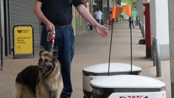 Homem é ‘atacado’ por robô de entrega que atropelou cachorro: ‘Parecia ter vontade própria’ – Notícias