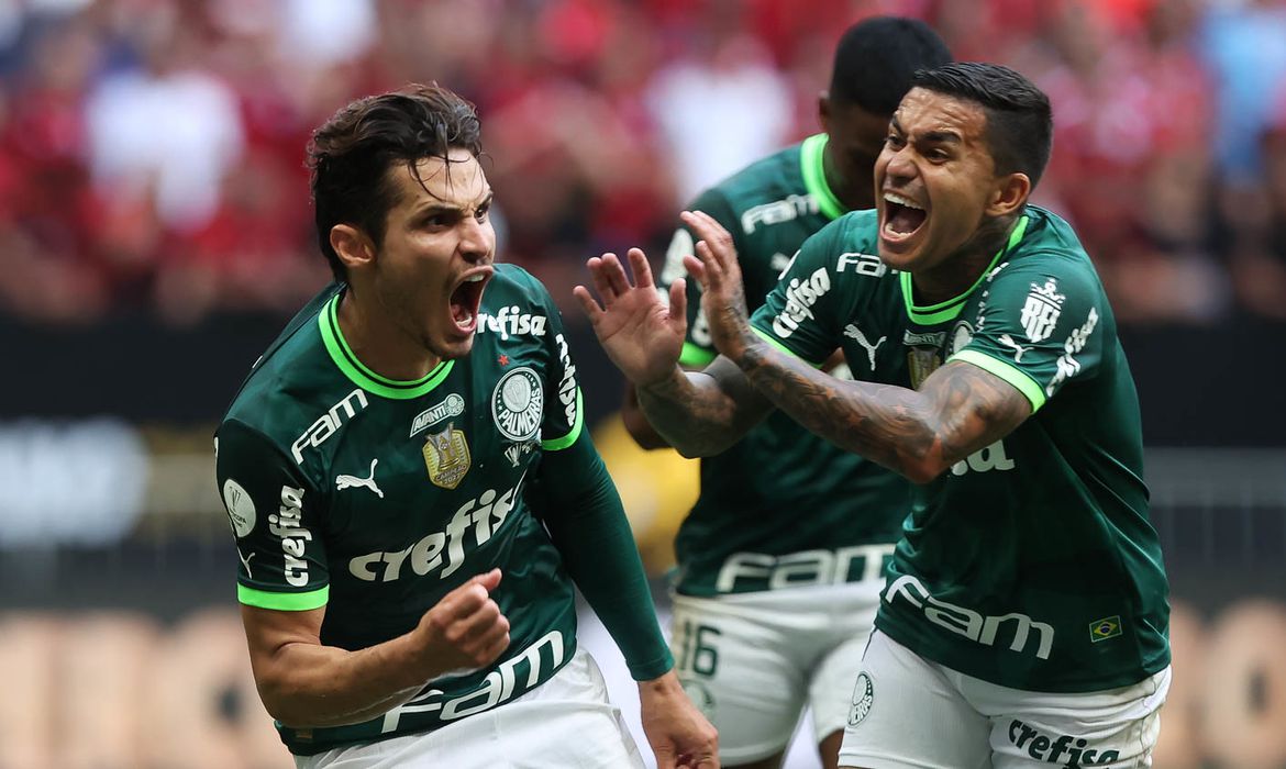 Palmeiras ganha reforço para o ataque