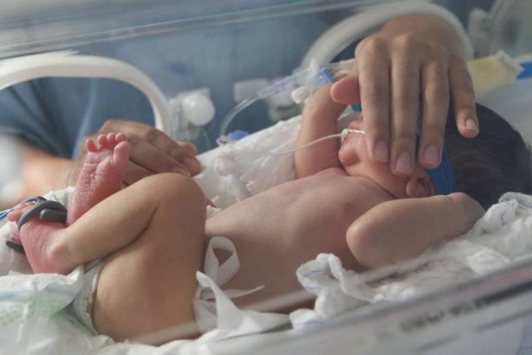 Vacina protege bebês de internação por vírus respiratório – 29/12/2023 – Equilíbrio e Saúde