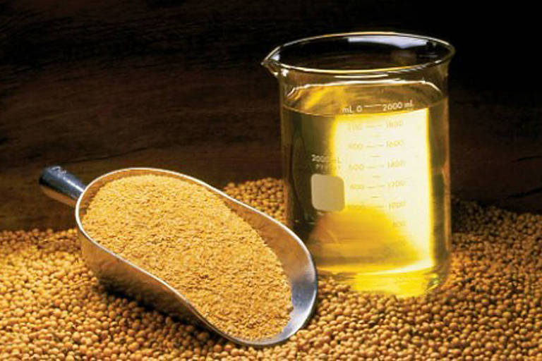 Resíduo da produção de óleo de soja ameniza menopausa – 05/12/2023 – Equilíbrio