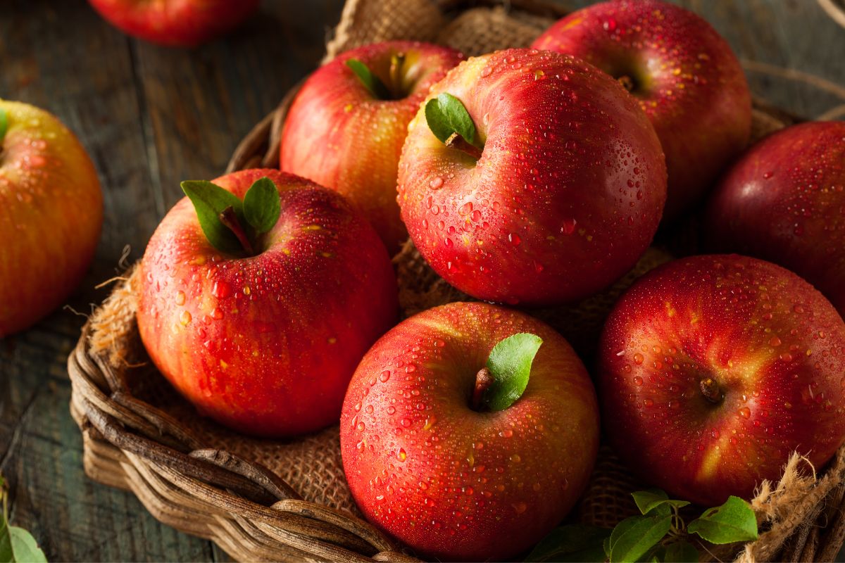 Benefícios da maçã: conheça agora o que ela faz por você