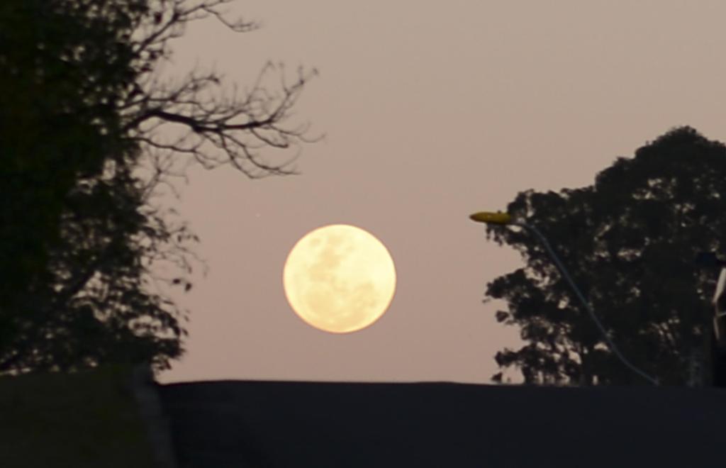 Lua Cheia Rosa surge no céu nesta semana; entenda o fenômeno
