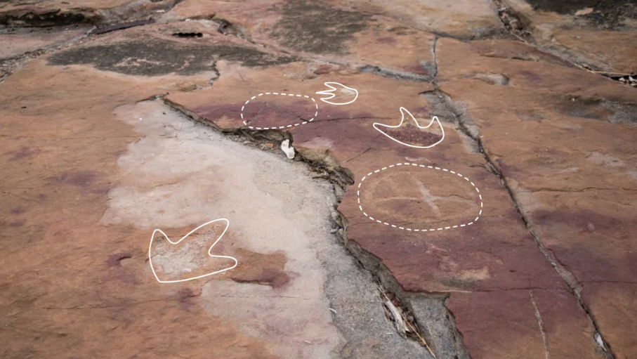 Desenhos próximos a pegadas fossilizadas no Brasil indicam consciência dos indígenas sobre dinossauros