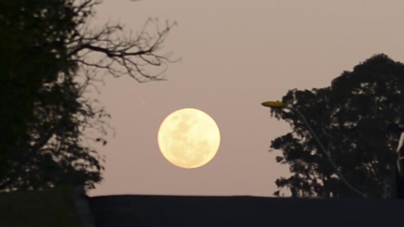 Lua Cheia Rosa surge no céu nesta semana; entenda o fenômeno
