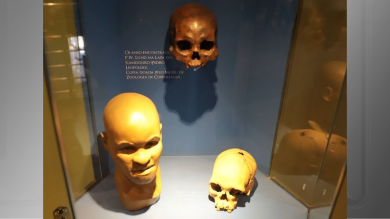 Descoberta de um esqueletos mais antigos das Américas completa 50 anos
