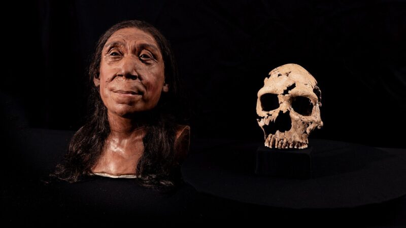 Cientistas revelam rosto de mulher neandertal que viveu há 75 mil anos
