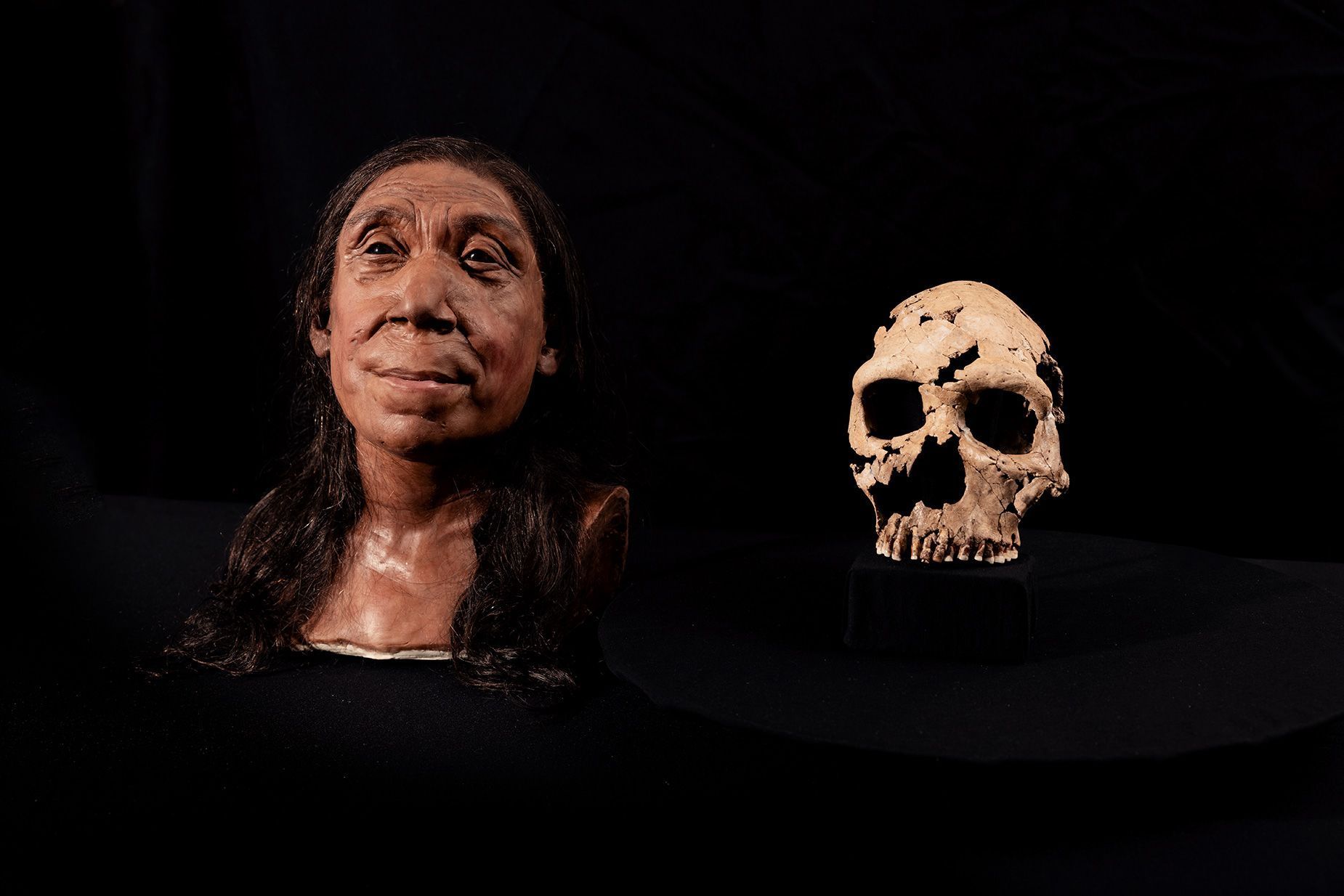 Cientistas revelam rosto de mulher neandertal que viveu há 75 mil anos