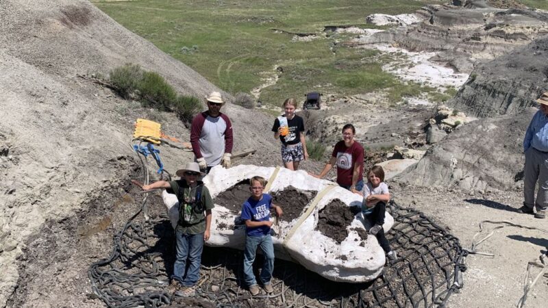 Família descobre fóssil raro de Tiranossauro rex durante trilha